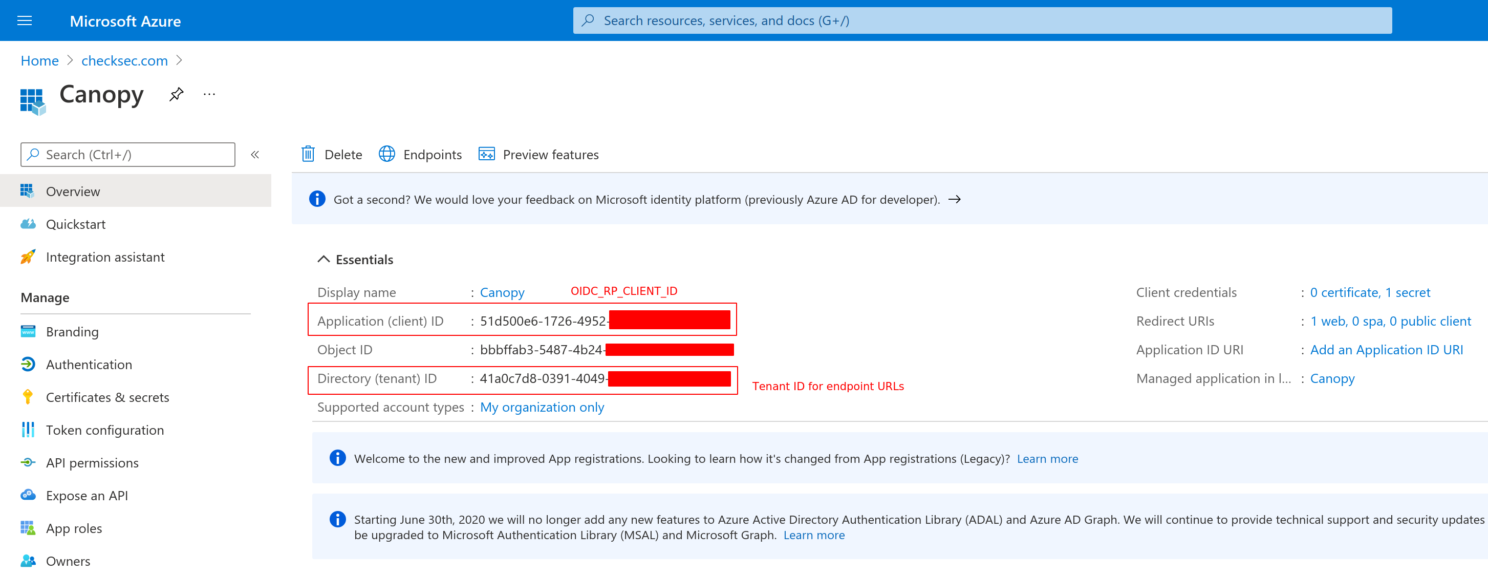 Microsoft Entra ID overview showing Application client ID and Directory tenant ID