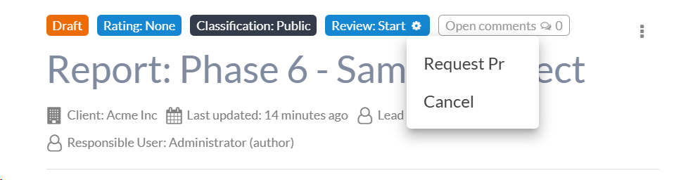 Report header section with review controls